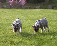 JuJu＆DeeDee
